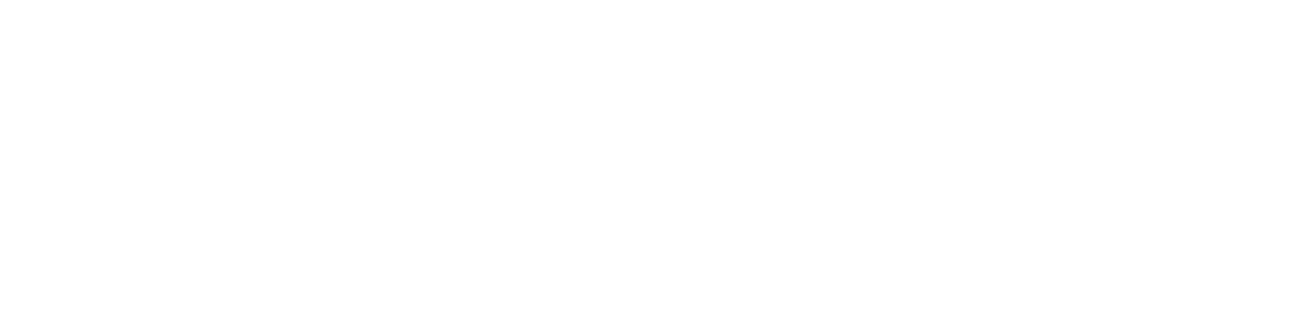 Primary-Logo-White